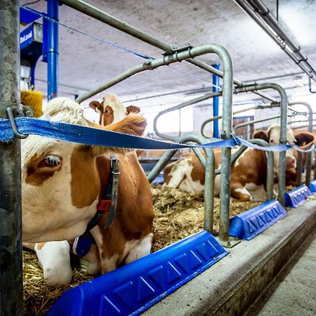 Ferienwohnungen Am Biobauernhof Lahner Bramberg am Wildkogel Zewnętrze zdjęcie